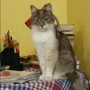 Отзыв от Эльмира Капустина